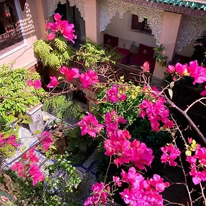 https://riad-toyour.hotelfesmorocco.com